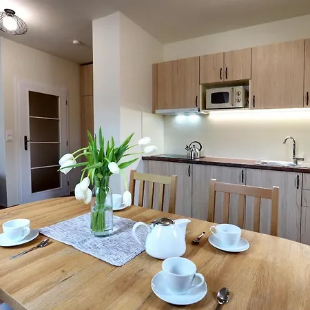 Tatra Apartment Jachymov